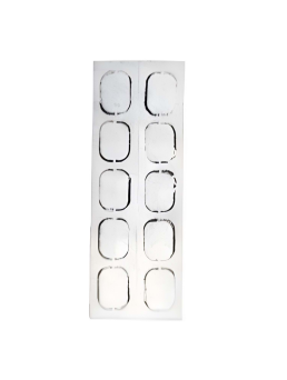 Respirox RN01 ve F&P Eson CPAP Maskesi Uyumlu Filtre